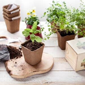 Kit de Inicio para Cultivo de Hierbas Aromáticas en Casa